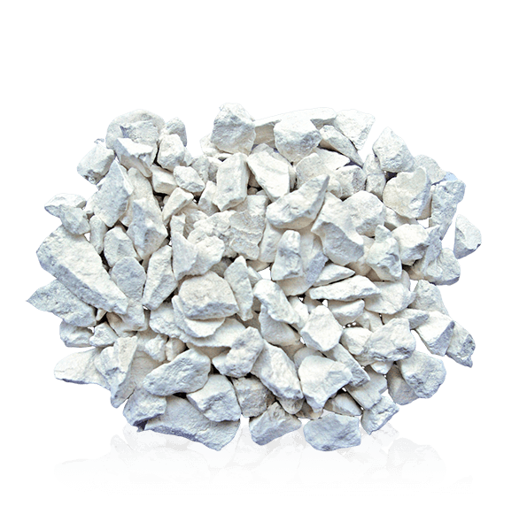 荣誉称号与行业影响力